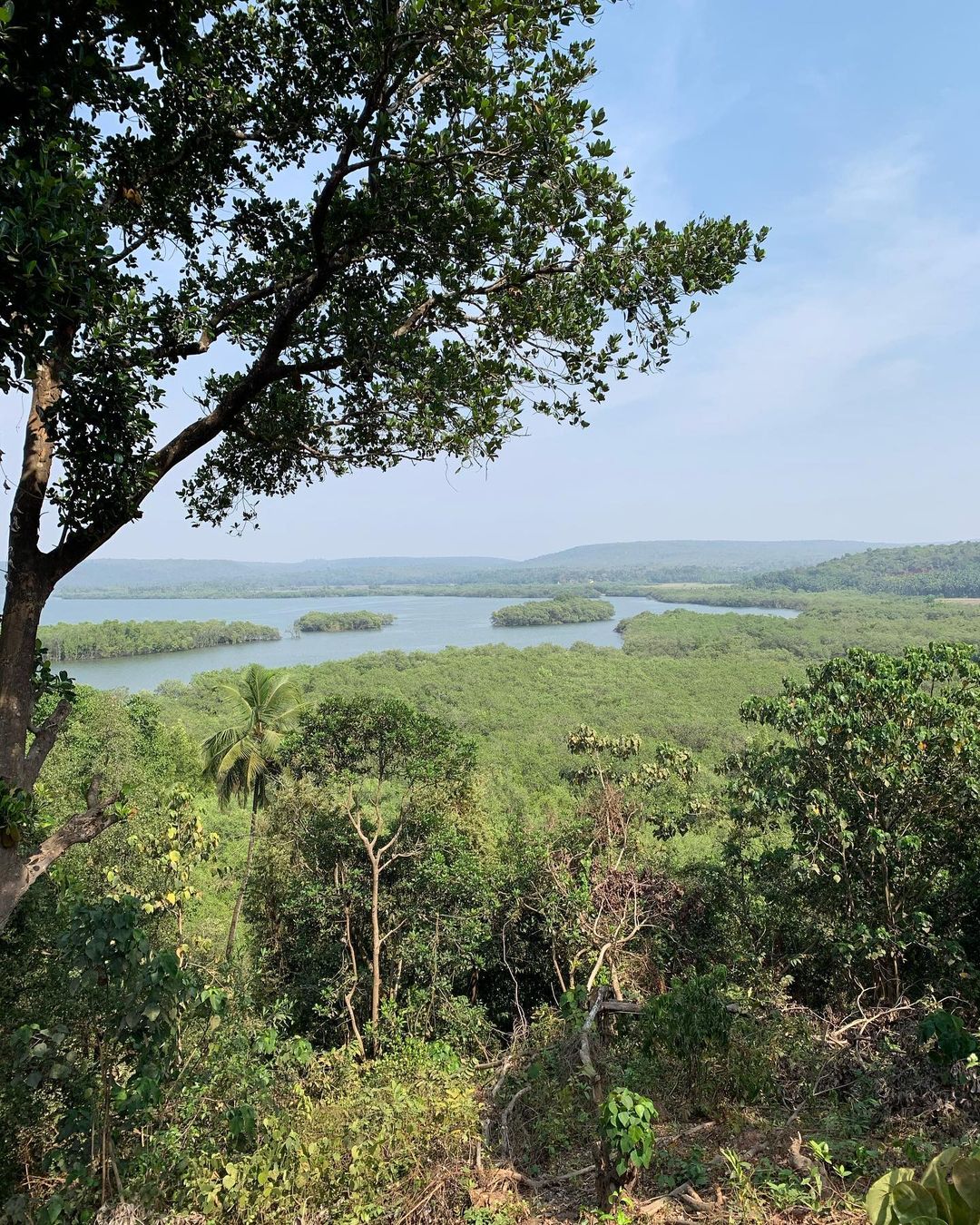 hoa 1 - And the concluding point of our journey was Arambol, Goa