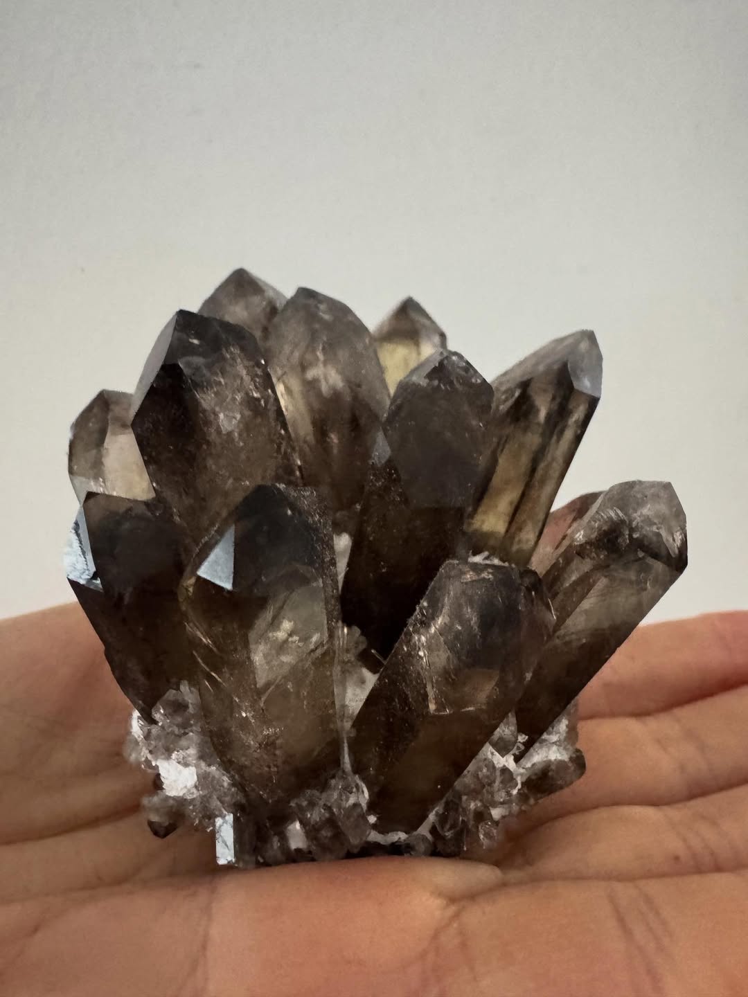 Натуральний мінерал — друза димчастого кварцу Натуральний мінерал — друза димчастого кварцу