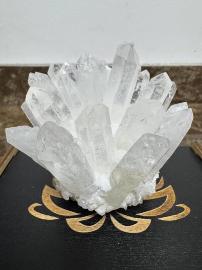 Друзи з гірського кришталю