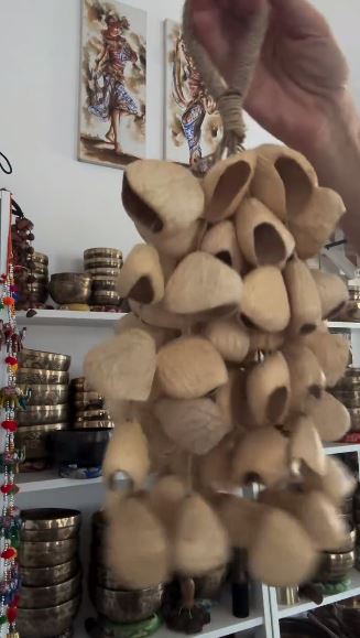 Музичний інструмент з натуральних плодів Музичний інструмент з натуральних плодів